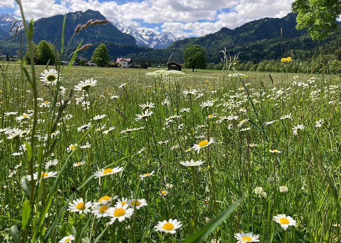Ferienwohnung Eistänzer Nest Oberstdorf